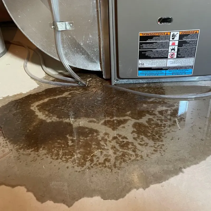 Pipe Burst and Leak Restoration in Jonesboro, IN